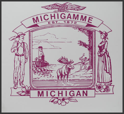 Michigamme Township Meeting